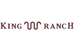 Tailgate Insert Letters; Rapid Red (23-25 F-250 Super Duty King Ranch)