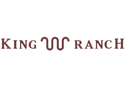 Tailgate Insert Letters; Rapid Red (23-25 F-250 Super Duty King Ranch)