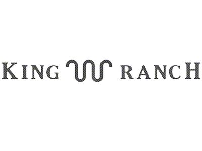Tailgate Insert Letters; Raw Carbon Fiber (23-25 F-250 Super Duty King Ranch)