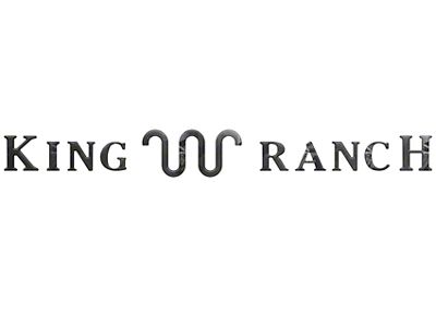 Tailgate Insert Letters; Reflective Black Shadow (23-25 F-250 Super Duty King Ranch)