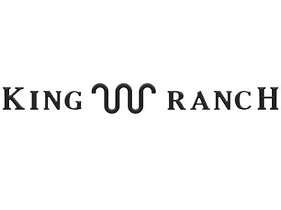 Tailgate Insert Letters; Gloss Black (23-25 F-350 Super Duty King Ranch)