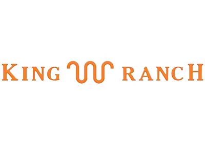 Tailgate Insert Letters; Gloss Orange (23-25 F-350 Super Duty King Ranch)