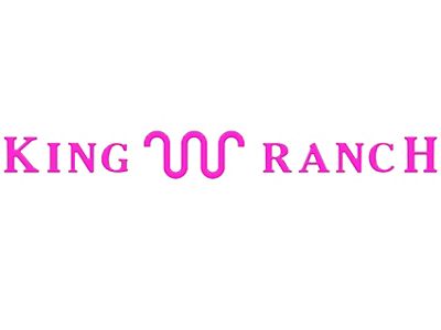 Tailgate Insert Letters; Hot Pink (23-25 F-350 Super Duty King Ranch)