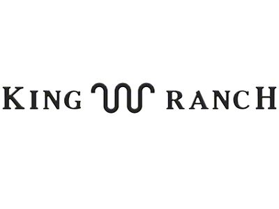 Tailgate Insert Letters; Matte Black (23-25 F-350 Super Duty King Ranch)