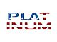 Tailgate Letter Inserts; American Flag (23-24 F-350 Super Duty Platinum)