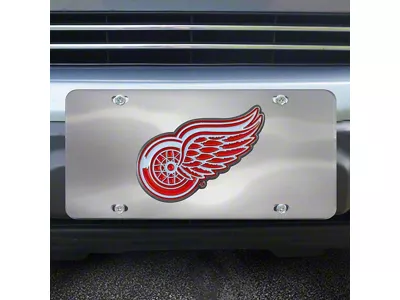 License Plate with Detroit Red Wings Logo; Stainless Steel (Universal; Some Adaptation May Be Required)