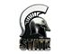 Michigan State University Molded Emblem; Chrome (Universal; Some Adaptation May Be Required)