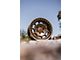 Fifteen52 Traverse HD Bronze Mono 6-Lug Wheel; 17x8.5; 0mm Offset (07-13 Silverado 1500)