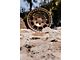 Fifteen52 Traverse HD Bronze Mono 6-Lug Wheel; 17x8.5; 0mm Offset (09-14 F-150)