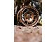 Fifteen52 Traverse HD Bronze Mono 6-Lug Wheel; 17x8.5; 0mm Offset (99-06 Silverado 1500)
