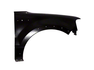 Ford Front Fender with Wheel Opening Molding Holes; Passenger Side (06-08 F-150)