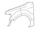 Ford Front Fender with Wheel Opening Molding Holes; Passenger Side (09-14 F-150, Excluding Raptor)