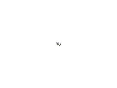 Ford Performance Chase Rack (22-24 Maverick)