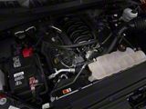 Ford Performance Air/Oil Separator; Passenger Side (11-17 5.0L F-150)
