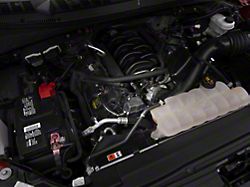Ford Performance Air/Oil Separator; Passenger Side (11-17 5.0L F-150)