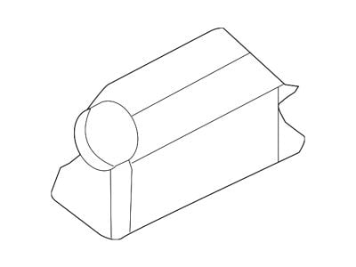 Ford License Plate Light Housing (19-25 Ranger)