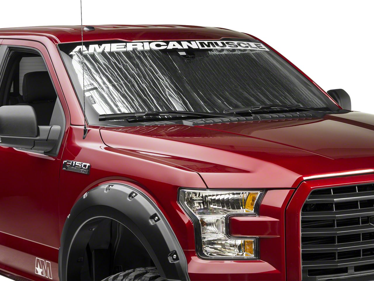 F-150 Sun Shade and Windshield Tint
