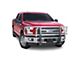 Go Industries Big Tex Grille Guard; Chrome (06-08 F-150, Excluding FX2)