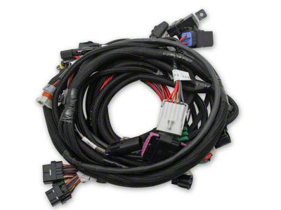 Holley EFI Coyote Ti-VCT Engine Main Wiring Harness for HP Smart Coils (11-17 5.0L F-150)
