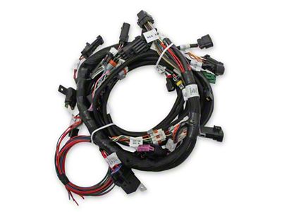 Holley EFI Coyote Ti-VCT Engine Main Wiring Harness for Stock Coils (11-17 5.0L F-150)