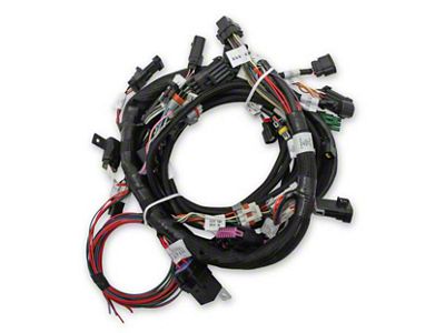 Holley EFI Coyote Ti-VCT Harness Kit (11-17 5.0L F-150)
