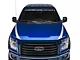 SEC10 Hood Accent Decal; Silver (15-20 F-150)
