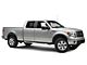 Iron Cross Automotive Patriot Board Side Step Bars; Stainless Steel (04-14 F-150 SuperCrew)