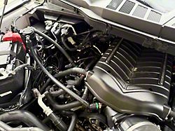 J&L 3.0 Oil Separator; Black Anodized; Passenger Side (21-26 5.0L F-150)