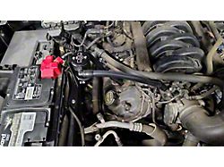 J&L 3.0 Oil Separator; Black Anodized; Passenger Side (15-17 5.0L F-150)