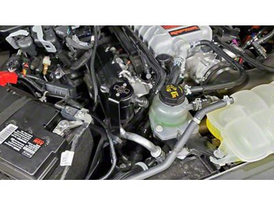 J&L 3.0 Oil Separator; Clear/Satin Anodized; Passenger Side (23-25 F-150 Raptor R)