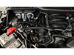J&L 3.0 Oil Separator; Clear/Satin Anodized; Passenger Side (21-26 5.0L F-150)