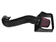 JLT Cold Air Intake with Red Oiled Filter (11-14 5.0L F-150)