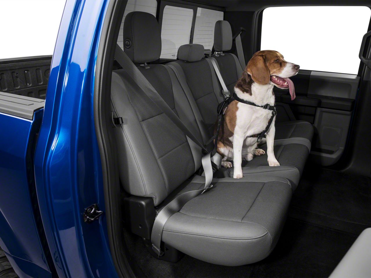 F-150 Extended Strength Tru-Fit Dog Harness w/ Seat Belt Tether; Black  (97-20 F-150)