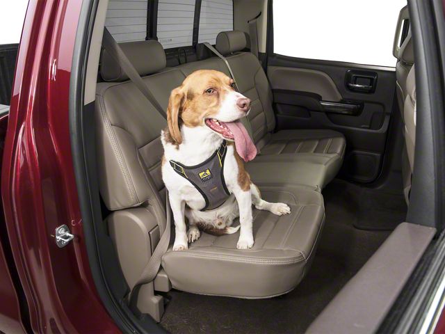 Impact Dog Seat Belt Harness; Black