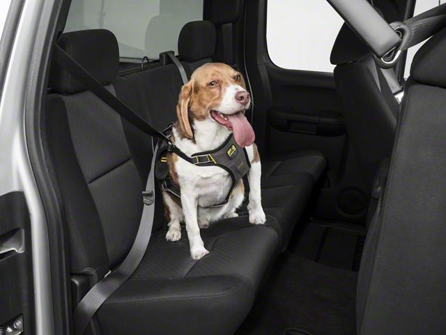 Impact Dog Seat Belt Harness; Black