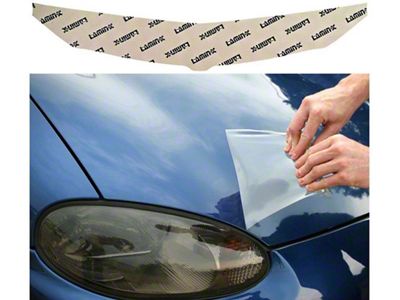 Lamin-X Invisible Hood Bug Guard (19-25 RAM 1500)