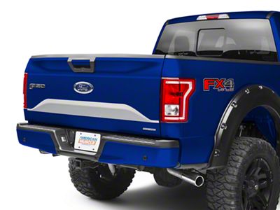 SEC10 Lower Tailgate Panel Accent Decal; Silver (15-17 F-150)