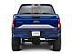 SEC10 Lower Tailgate Panel Accent Decal; Silver (15-17 F-150)