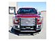 Prowler Max Grille Guard; Polished Stainless (15-20 F-150, Excluding Raptor)