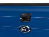 Master Tailgaters Tailgate Handle with Backup Reverse Camera; Black (04-14 F-150)