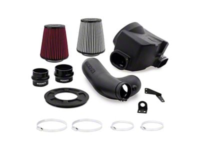 Mishimoto Performance Cold Air Intake with Dry Filter (17-24 3.5L EcoBoost F-150, Excluding Raptor)