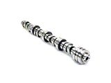 Mopar OEM 5.7L Camshaft (09-24 5.7L RAM 1500)