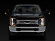 Morimoto XB LED Headlights with Amber DRL; Black Housing; Clear Lens (17-19 F-250 Super Duty)