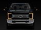Morimoto XB LED Headlights with Amber DRL; Black Housing; Clear Lens (17-19 F-250 Super Duty)