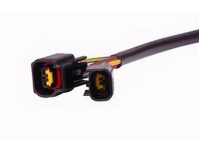 MSD DIS-4 to Ford 4.6L Modular Harness Adapter (97-07 V8 F-150)