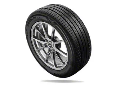 Nexen Roadian GTX Tire (30" - 235/55R20)