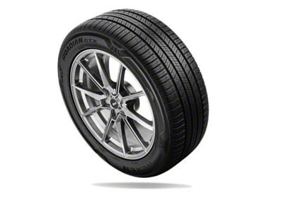 Nexen Roadian GTX Tire (31" - 255/50R20)