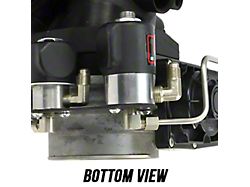 Nitrous Outlet 78mm Truck Plate System; 12 lb. Bottle (99-06 V8 Silverado 1500)
