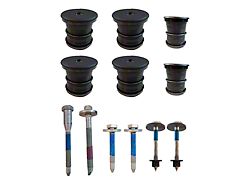 Body Mounts (03-07 F-250 Super Duty Regular Cab, SuperCab)