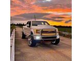North Georgia Lighting Sequential Switchback LED Grille Strip Lights (15-17 F-150 Limited)